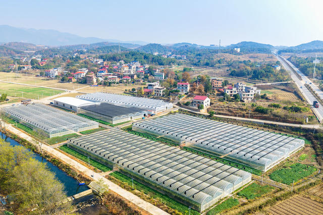 美丽乡村  农旅融合  产业兴旺  增收致富