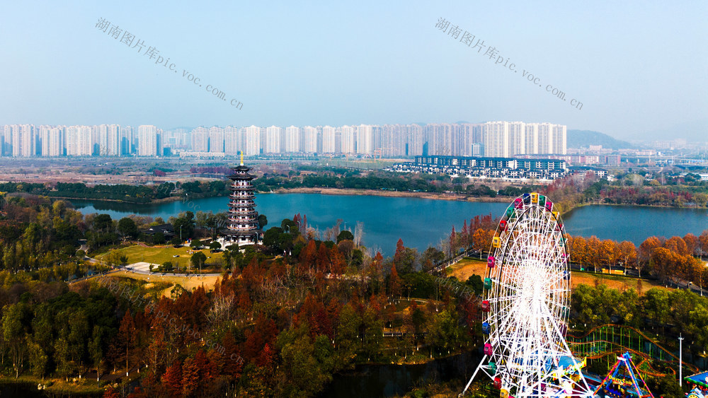 ：洋湖湿地公园美如画