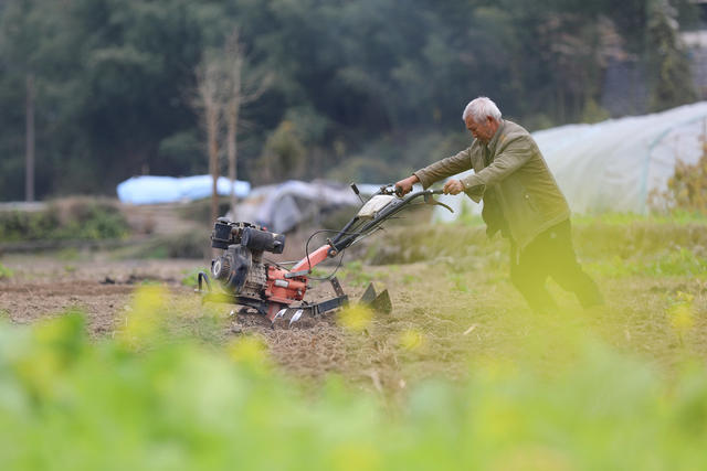 二十四 节气  冬至  农民 田间 农忙  