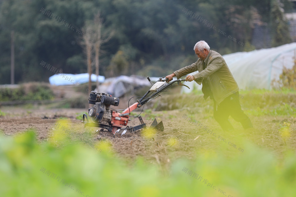 二十四 节气  冬至  农民 田间 农忙  
