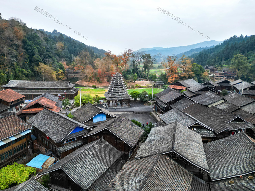 冬日 侗寨 红叶 民居 美景