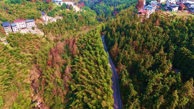 冬日  乡村  风景  画卷