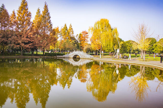 景色美如画，参观多似潮。