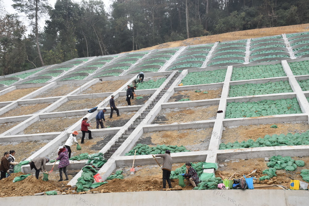 紧锣密鼓 备战 通车