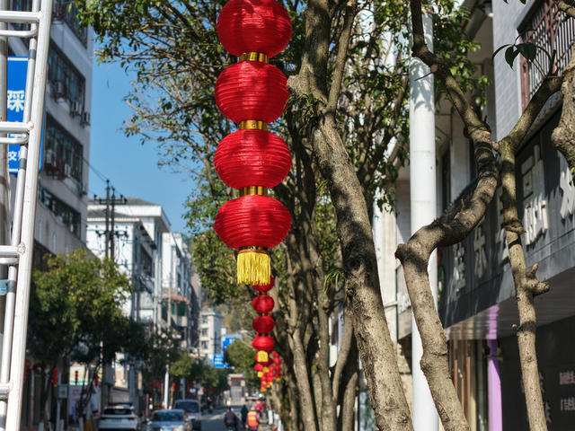湖南桂东 双节 红灯笼 县城 绿树  年味