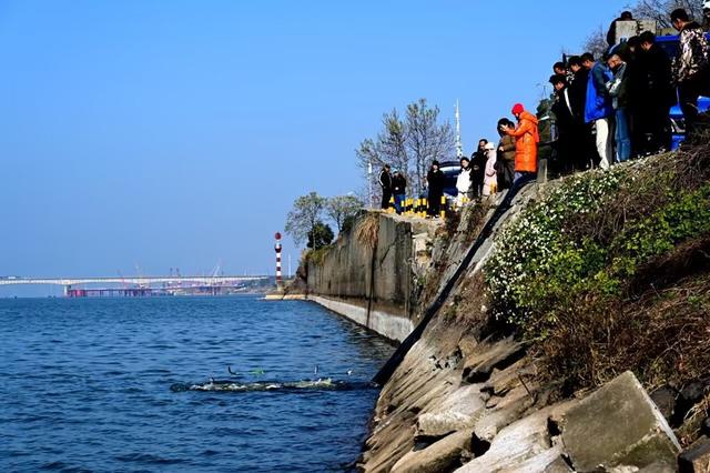 湘江添苗生态兴