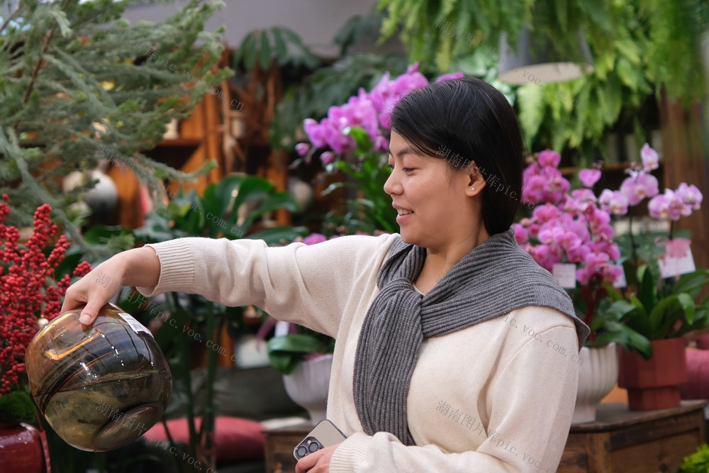 选购花卉迎新年