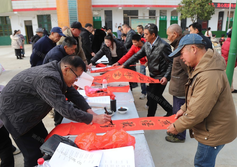 元旦 书画 学校