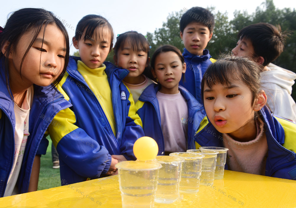 嘉禾：游园会 迎新年