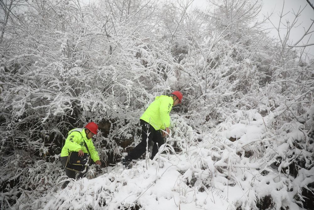 龙山 瑞雪 跨年 电力巡线