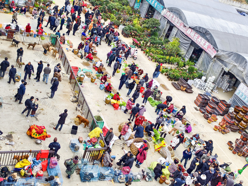 乾州农贸市场    新年第一集  市场货丰人旺