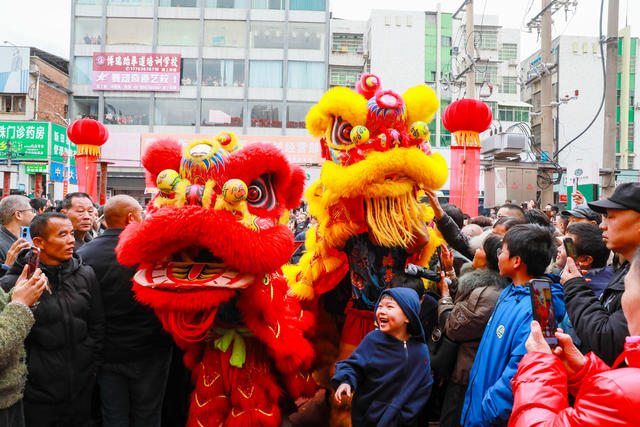 元旦  舞狮  庆祝  佳节 迎新年