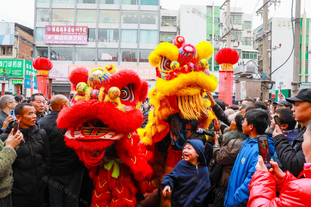 元旦  舞狮  庆祝  佳节 迎新年