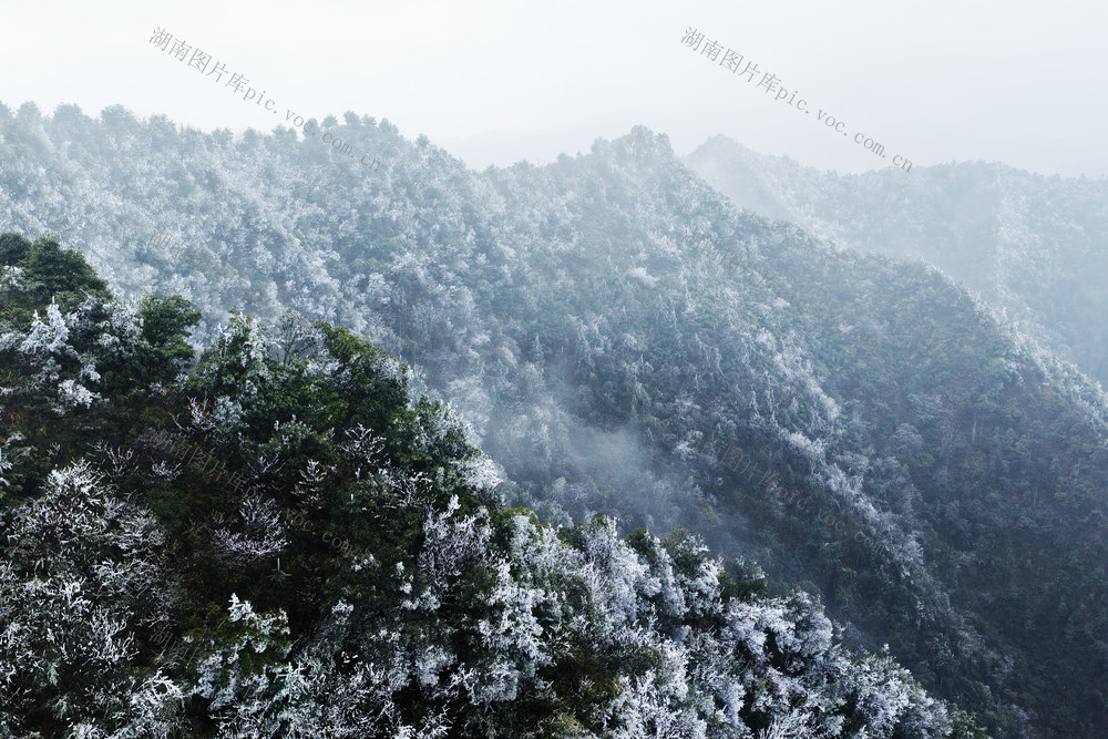 嘉禾：雾凇美景醉游人