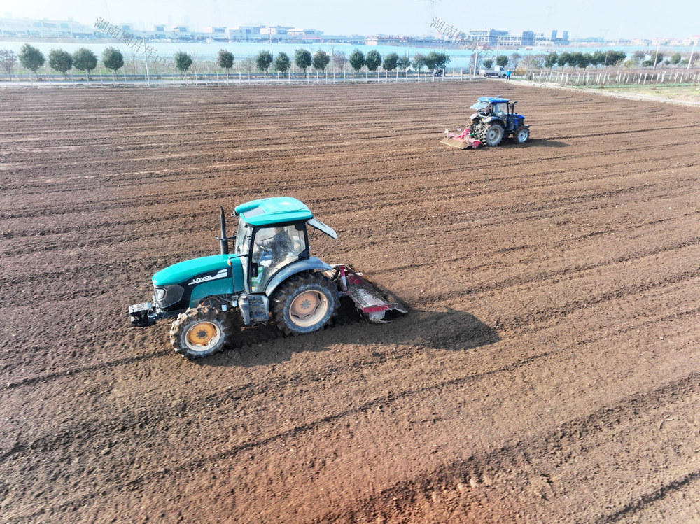 农事活动  冬闲地  旋耕机  耕地平整  备种备栽