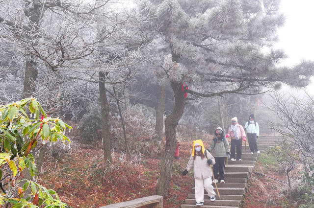 南岳 雾凇 云海 美景