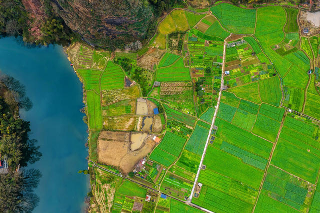 灌溉 冬灌 水 水利 田