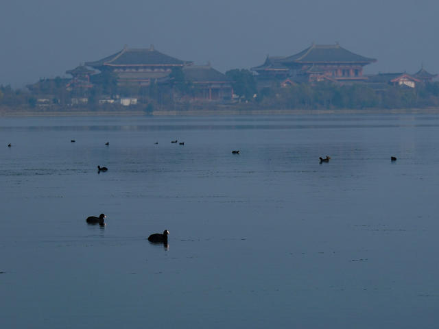 鸟类家园，松雅湖