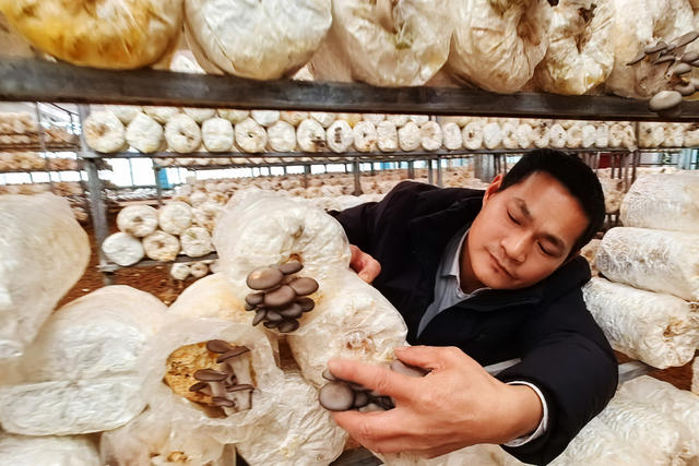 宁远：种养产业 助农增收