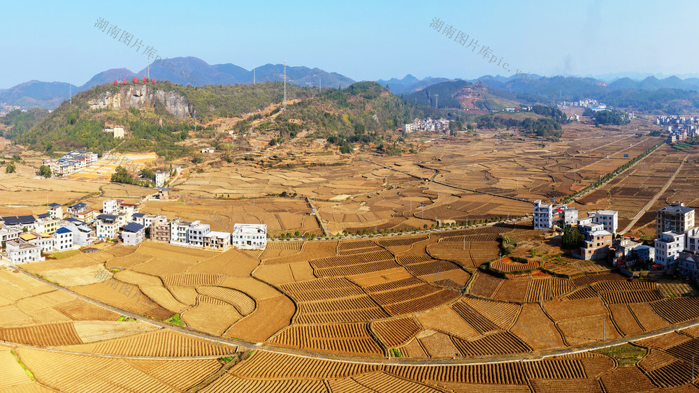 嘉禾：  冬日田园美如画
