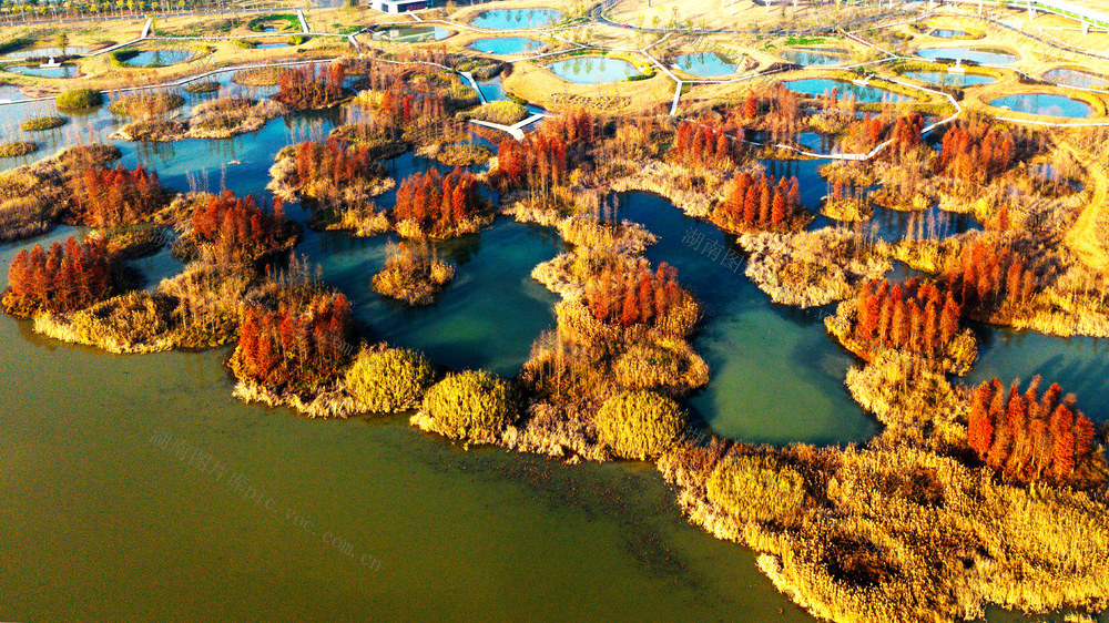 大泽湖，红杉林