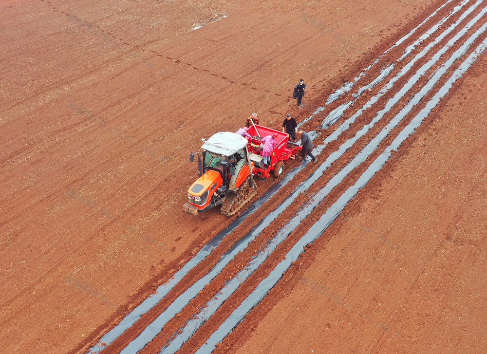 嘉禾：订单农业促增收