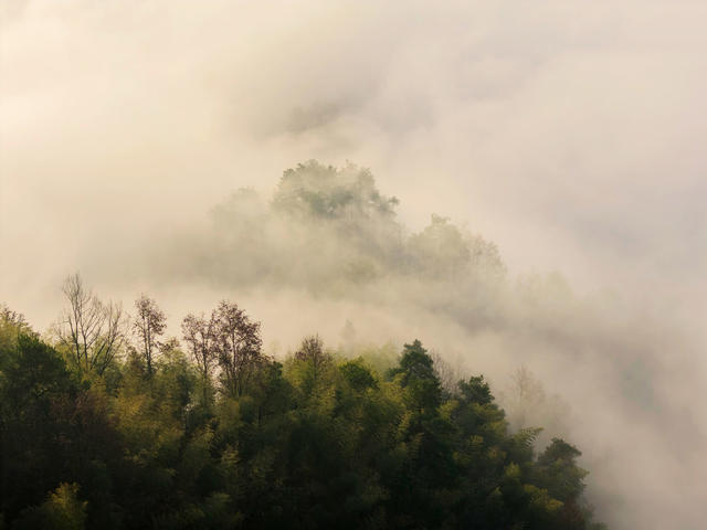 云雾 云海 山 密岩尖 群山