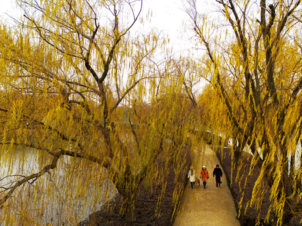 烈士公园，冬景如画，