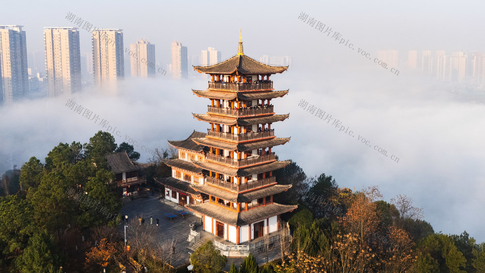 晨雾 美景 城市景观 