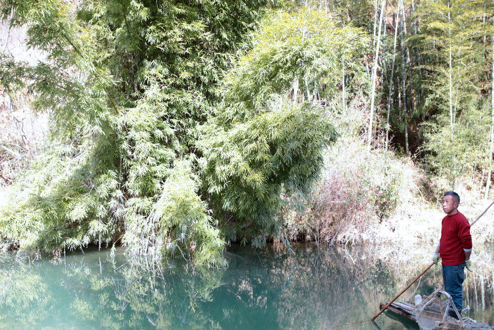 湖南桂东 巡河 保洁 清流 沤江 美丽河湖