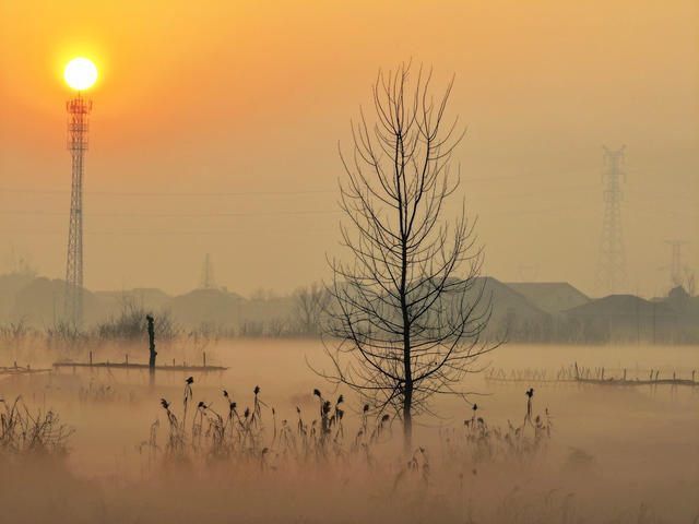 平原  乡村  清晨  平流雾  图画