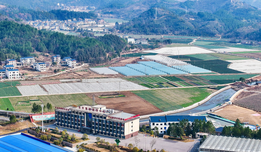 田园  蔬菜  七彩  生态  乡村