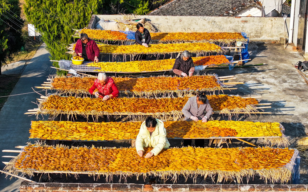 红薯  加工  晾晒  红薯干，增收