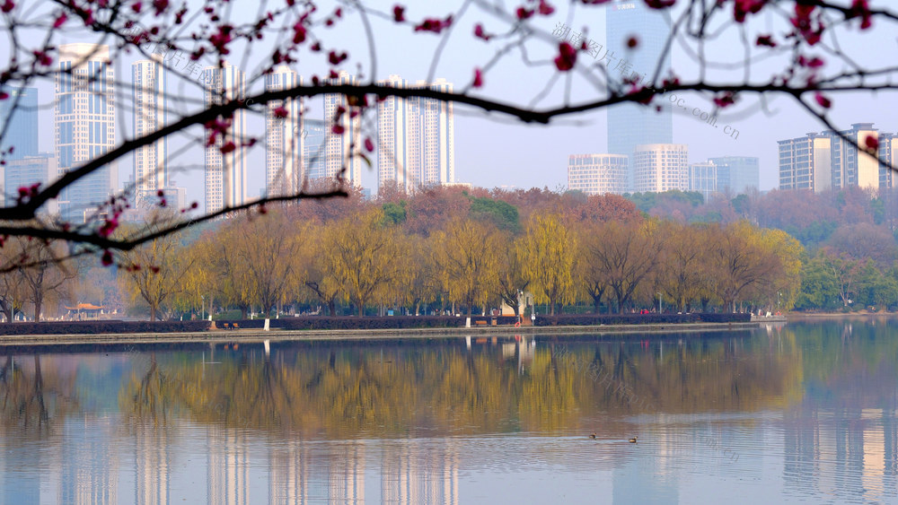 烈士公园，冬景如画