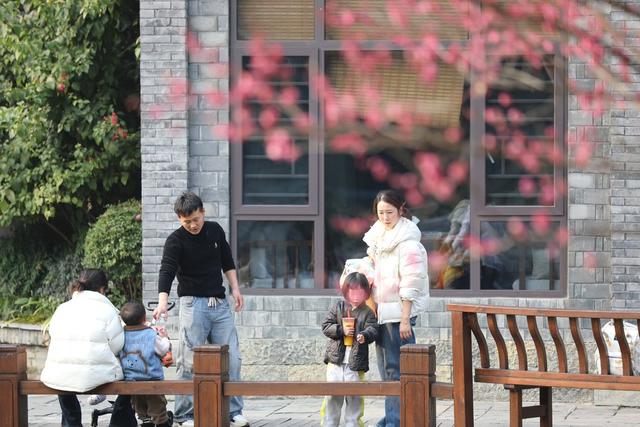 土家族 湘西  苗族  吉首  古城  乾州  梅花  盛开 市民  游客