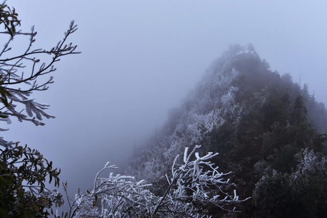 嘉禾：雾凇美景入画来