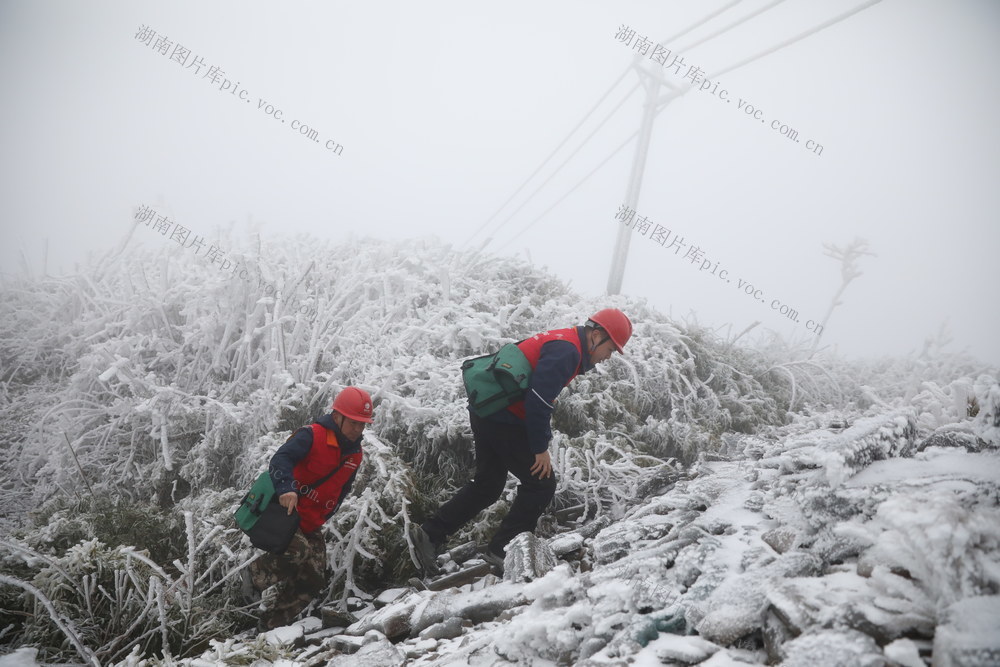 供电  安全  雪后  特巡