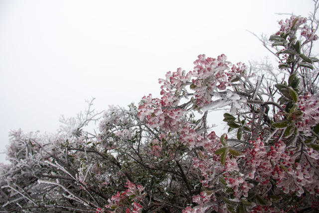 道吾山