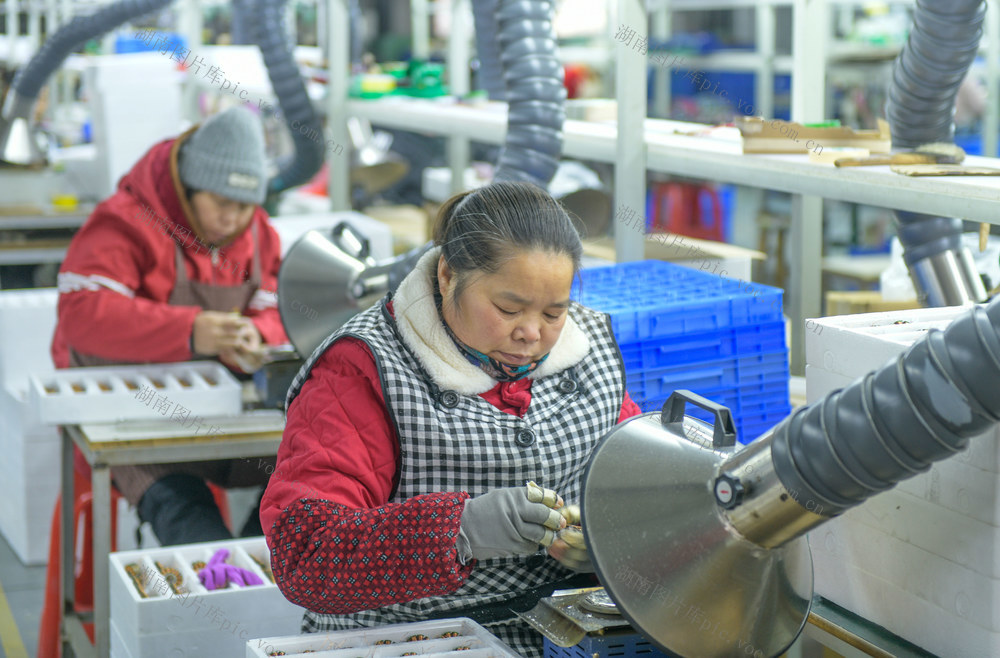 湖南道县：小马达 大产业