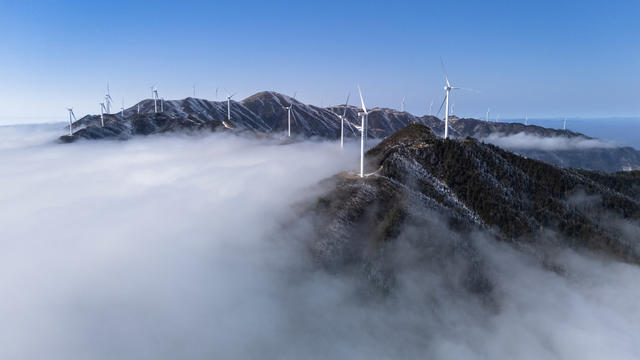  冰雪 雾凇 雪景 冬日 冷空气 低温