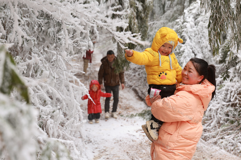 游客 雪 冰雪 群山 云雾