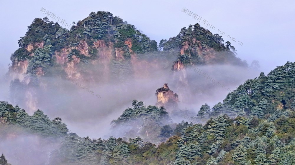 宜章  莽山  风光