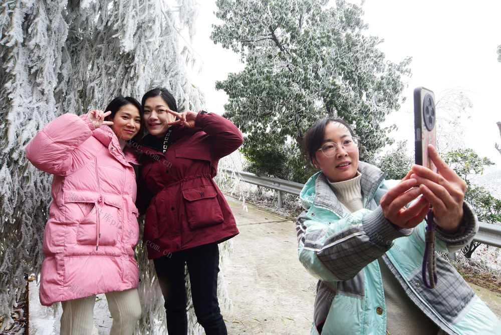 嘉禾：雾凇美景引客来
