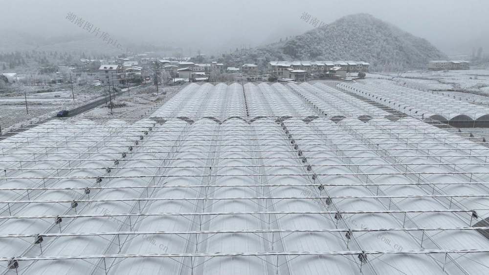 寒潮   郴州市   苏仙区  五盖山    雪花  冰晶 
 银装  晶莹剔透  冰雪童话世界  