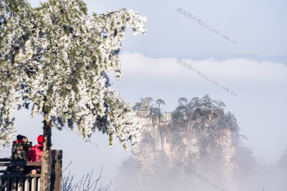 冰雪,,美景,,世界遗产地,云雾,,风景,,山水,,景区,,旅游