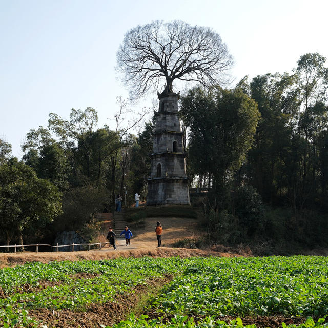 ：惜字塔引客来