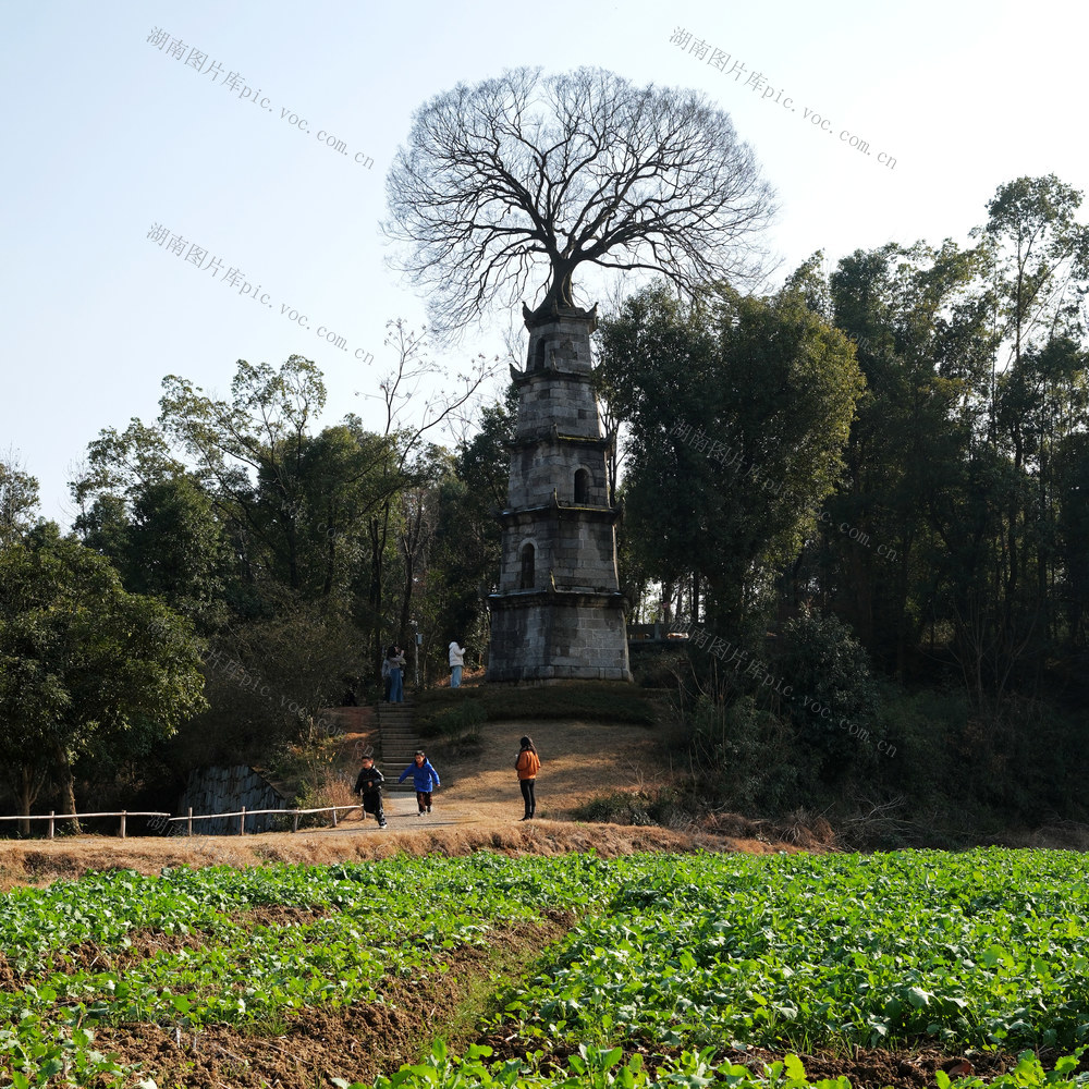 ：惜字塔引客来