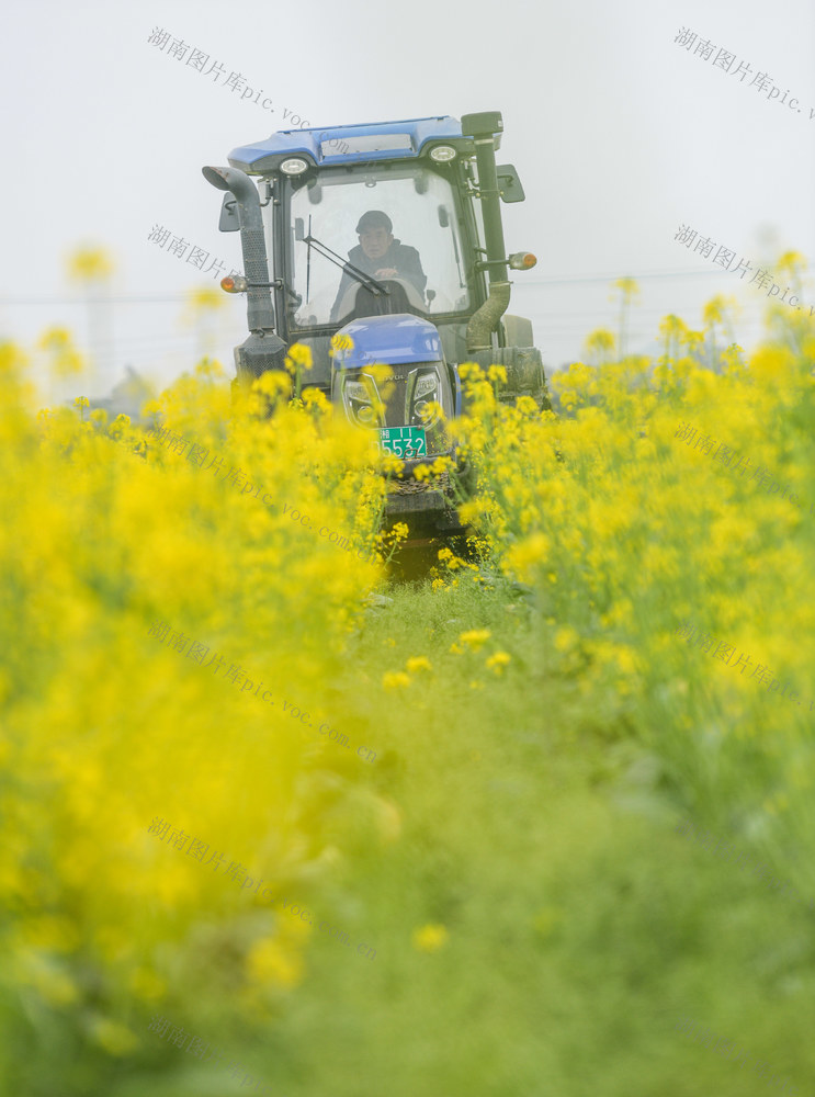 湖南道县：立春将至农事忙