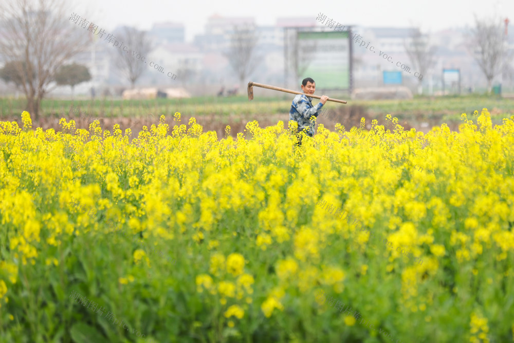 立春 农业 农事