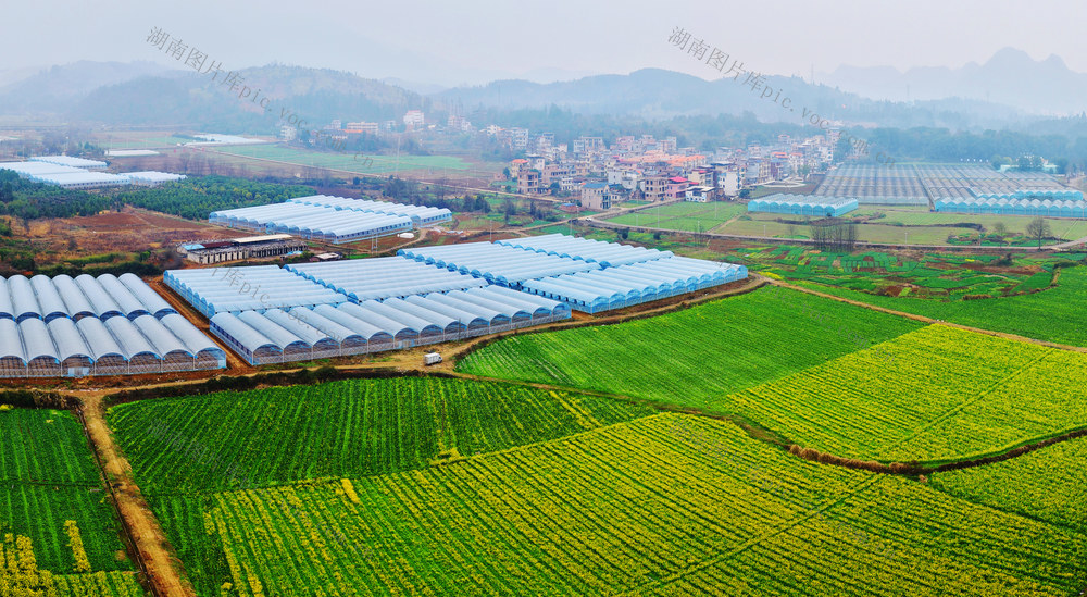 嘉禾：春回大地乡村美